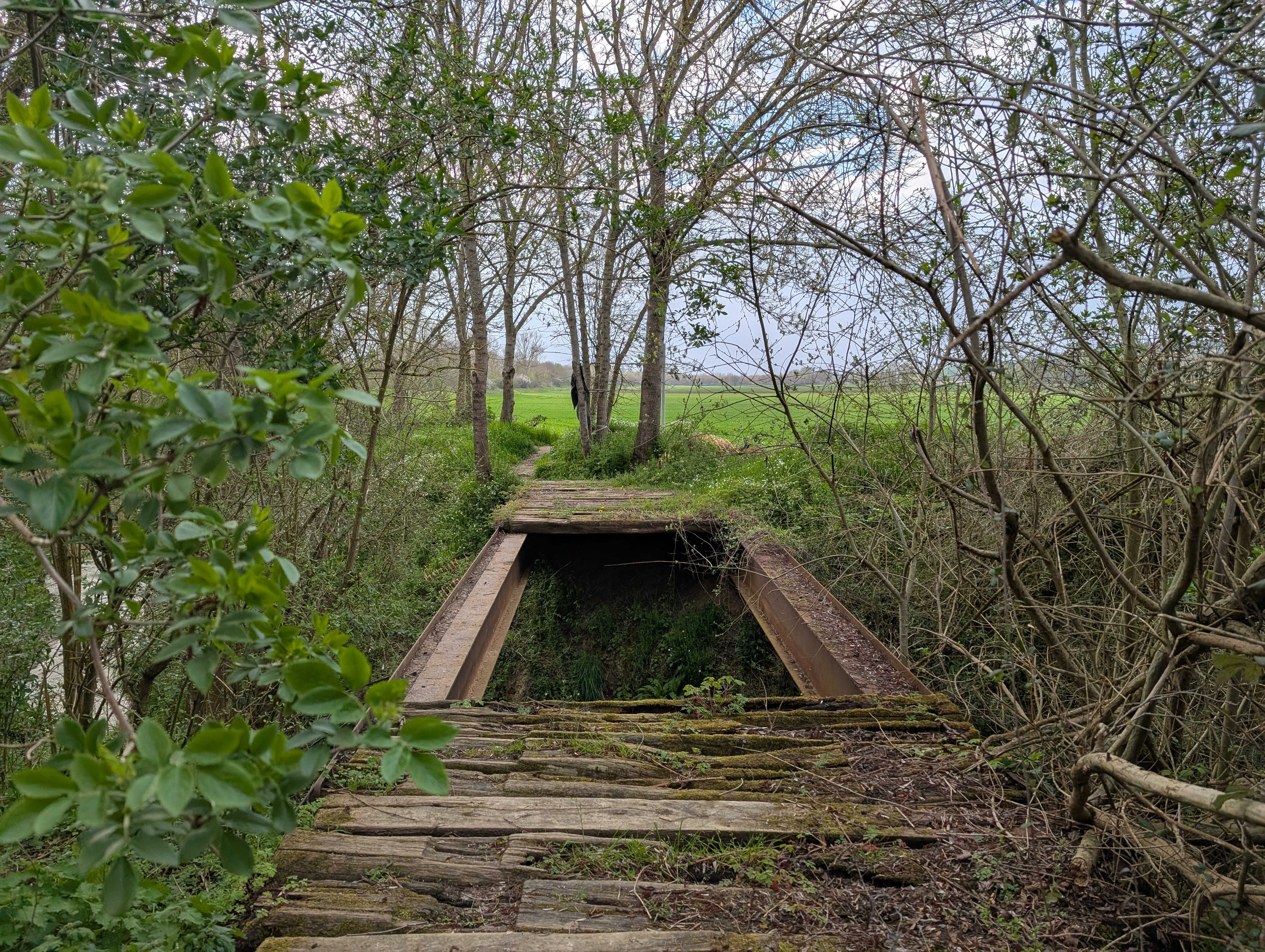 Saune et Marcaissonne